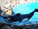 Sea World-122